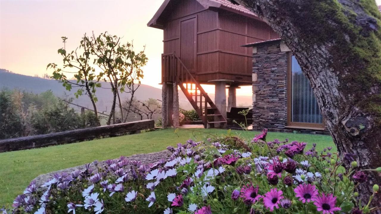 Casa Valxisto Guest House Penafiel Luaran gambar